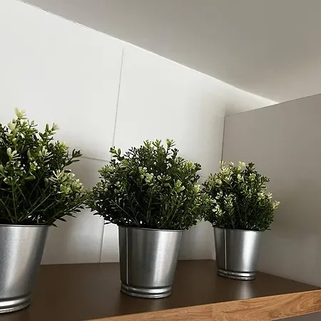 Apartment Hoznayo *
